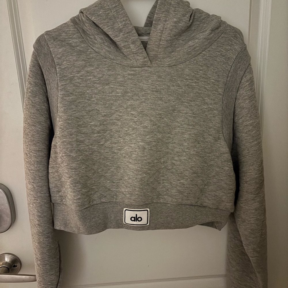 ALO Yoga Gray Cropped Hoodie
